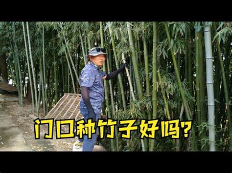 門口種竹子